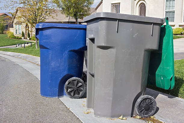 Bins neatly at the curb